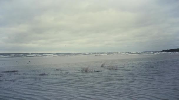 La foce del fiume Lielupe nel Golfo di Riga — Video Stock