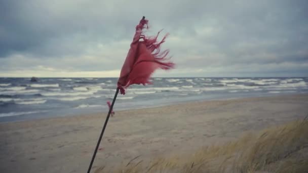 Drapeau dans les dunes dans une tempête dans la Baltique — Video