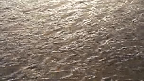 Kleine häufige Wellen auf dem Flusswasser — Stockvideo