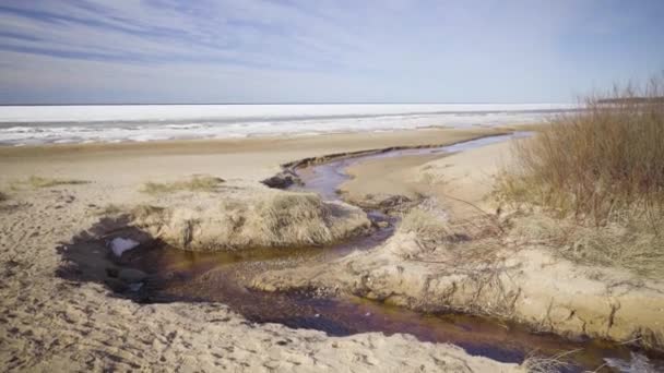 Flodens mynning i Östersjöns sanddyner på våren — Stockvideo