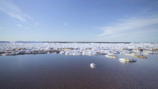 Lód na wybrzeżu Bałtyku wiosną — Wideo stockowe