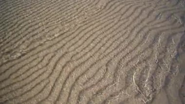 Şeffaf deniz dalgaları, güneşli bir yaz gününde Baltık Denizi 'nin kumlu kıyılarına doğru ritmik bir şekilde ilerler. Riga Körfezi, Letonya