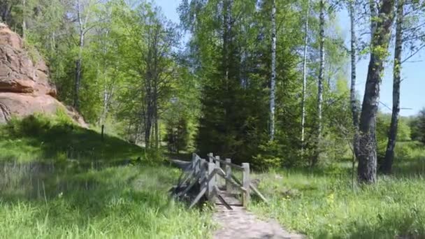 Rode zandkliffen in Nationaal Park Gauja — Stockvideo