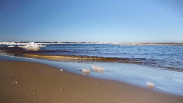 Isbitar på Östersjöns strand i surfing — Stockvideo