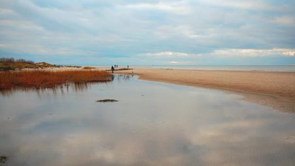 Persone a piedi cani nelle dune del Mar Baltico in autunno — Video Stock