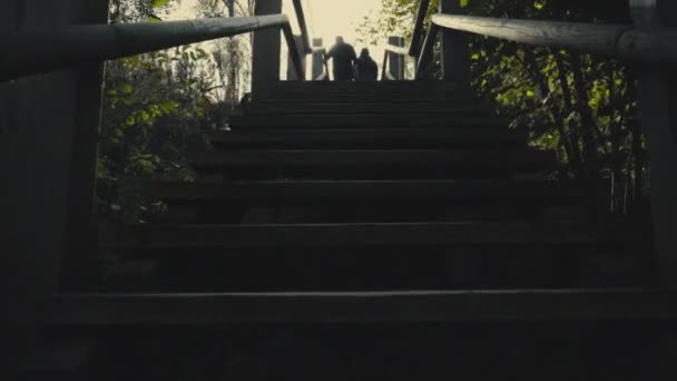 Восхождение по деревянной лестнице в осеннем парке — стоковое видео