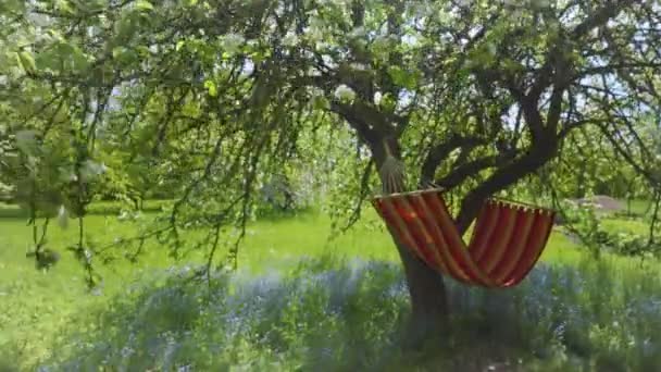 Hamacs accrochés dans un jardin fleuri de printemps — Video