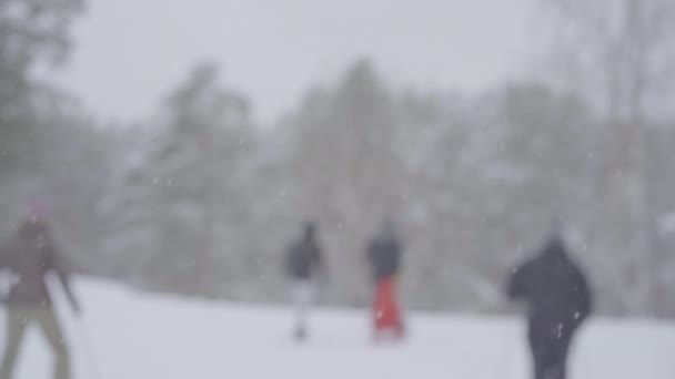 Folk i snön springer i skogen på skidor. — Stockvideo