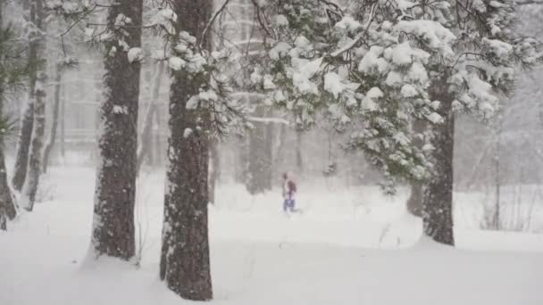 Člověk běhá v lese v hustém sněhu — Stock video
