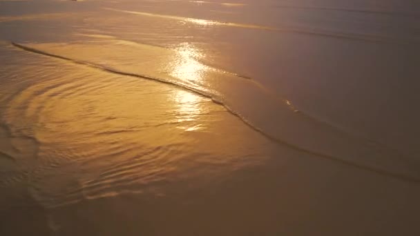 Золотые волны на закате Балтийского моря — стоковое видео