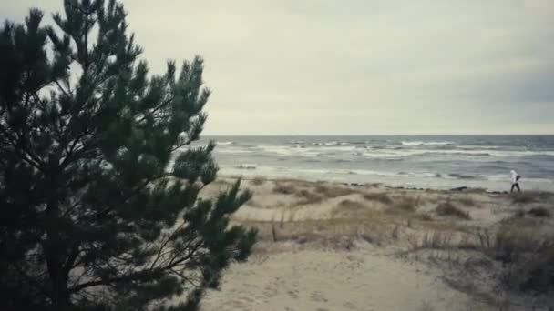 Tempesta invernale baltica su uno sfondo di dune di sabbia — Video Stock