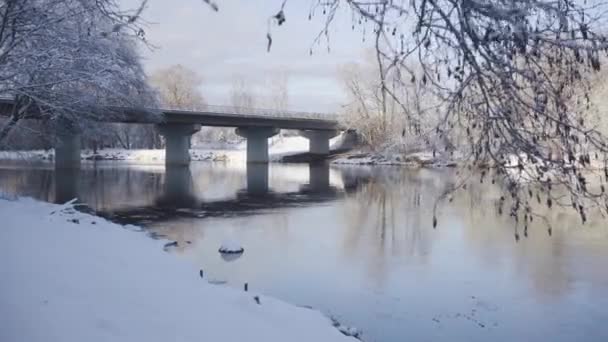 Puente sobre el río Gauja en invierno — Vídeos de Stock
