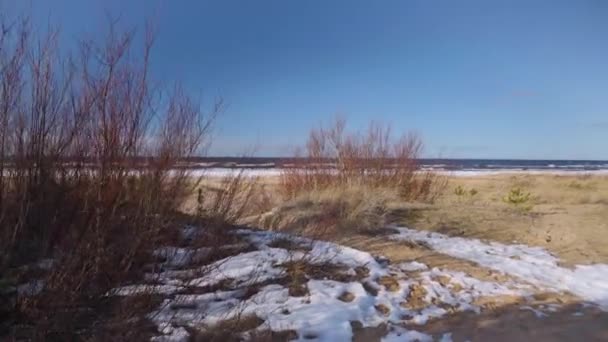 Kış Günü Baltık Kum Tepeleri Beyaz Kar Üzerinde Sarı Kum — Stok video