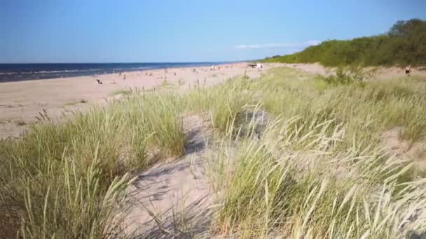Berjalan melalui bukit pasir ke pantai Baltik — Stok Video