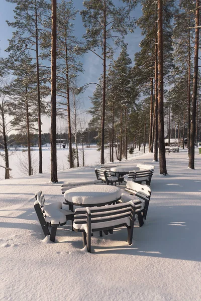Mesa de picnic cerca del lago bajo la nieve en invierno —  Fotos de Stock
