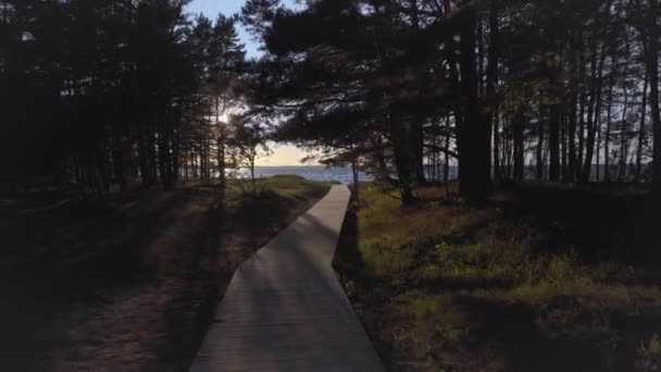 Het pad van de planken naar het Baltische strand in de zomer — Stockvideo