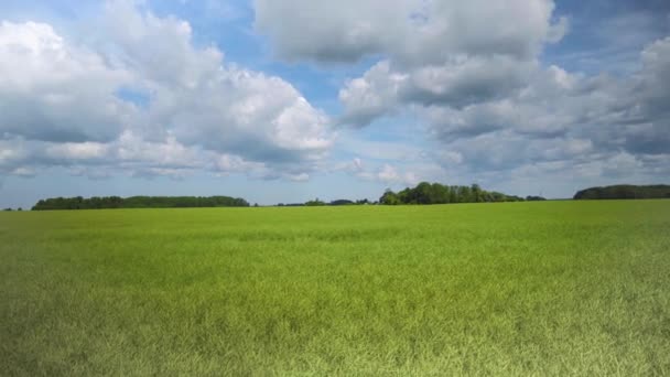 Traktor fährt auf der Straße zwischen Agrar-Feldern — Stockvideo