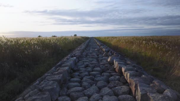 Um cais de pedras vai para o horizonte do Mar Báltico — Vídeo de Stock