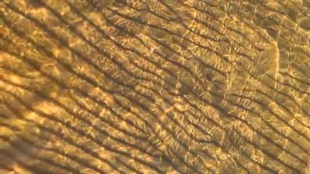 Tengeri hullámok a homokban dagálykor — Stock videók