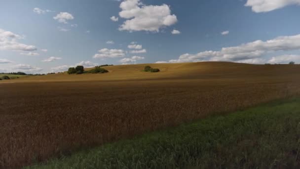 Štěrková cesta mezi zemědělskými poli v létě — Stock video