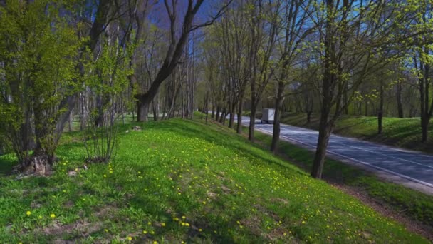 Highway between the hills against the background of green trees in spring — Wideo stockowe