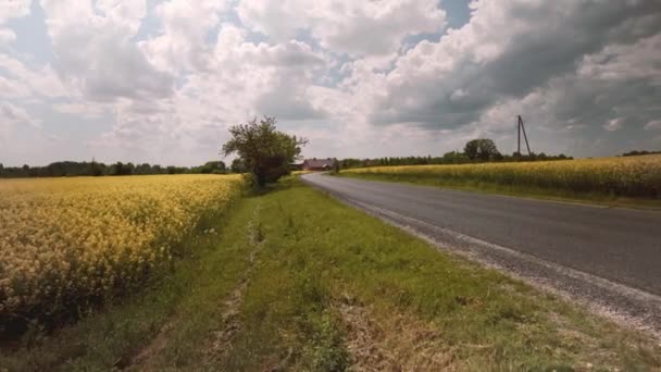 De weg tussen de plattelandsgebieden in het voorjaar — Stockvideo