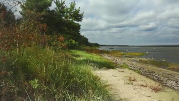 Cienie z biegnących chmur na Bałtyckiej plaży latem — Wideo stockowe