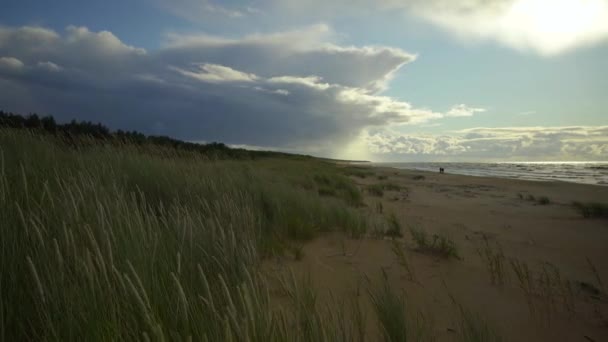 Sonbaharın Başlarında Baltık Plajı Boyunca Yürü Dalgalar Geniş Sarı Kumlu — Stok video