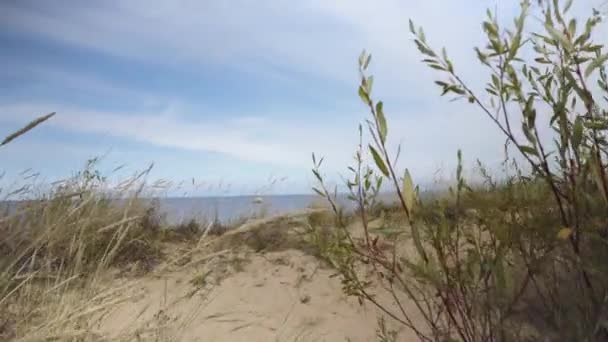Passeggiata Una Giornata Estiva Soleggiata Lungo Spiaggia Sabbiosa Del Mar — Video Stock