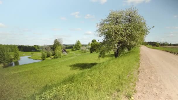 Güneşli Bir Bahar Gününde Çayırlarda Yeşil Çimenler Letonya Manzarası Evin — Stok video