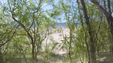 Kum tepelerinden Baltık sahiline yürü. Kurzeme 'deki Letonya kıyılarındaki kum tepeleri yeşil çalılarla kaplıdır. Sarı kumlu plaj sıcak bir yaz gününde tatilciler için keyiflidir..