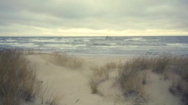 波罗的海的沙丘 冬季1月的风暴中 黄草丛生 1月拉脱维亚 — 图库视频影像