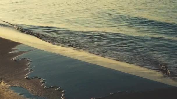 Latem Fale Morskie Rytmicznie Wpływają Piaszczystą Plażę Morza Bałtyckiego Niektórzy — Wideo stockowe