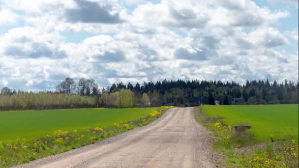 Vinden Driver Moln Med Skuggor Över Grusväg Och Sådda Gröna — Stockvideo