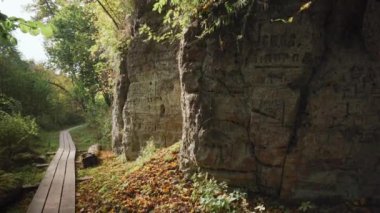 Letonya Gauja Ulusal Parkı 'nda kırmızı kumlu kayaları geçerek yürü. Sonbaharda, park çok popülerdir. Farklı yüzyıllarda insanlar kayalara yazıtlar bırakırdı.