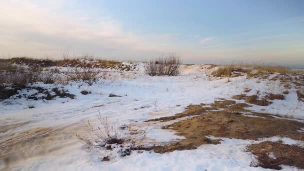 Sanddünen Der Ostsee Einem Wintertag Gelber Sand Auf Weißem Schnee — Stockvideo