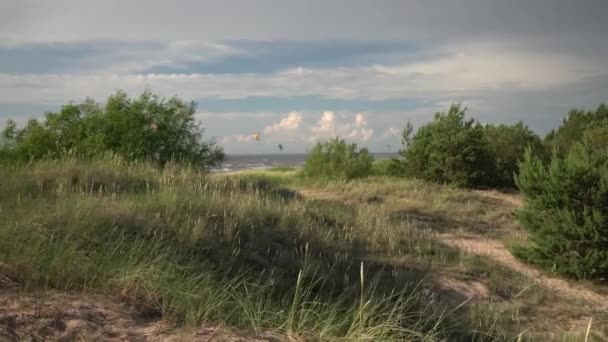 人々は強い風の中でバルト海に来て カイトボードを練習しました ラトビアの海岸で晴れた暖かい日 砂浜の背の高い草 — ストック動画