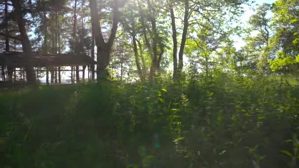 Zelená Tráva Žluté Květy Dunách Lotyšska Rižském Zálivu Velké Kameny — Stock video
