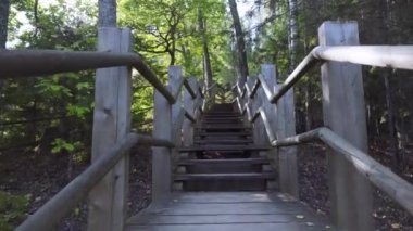 Climbing a wooden staircase in a spring park. Green young leaves with glare of the spring sun. Zvarts rock. Gauja National Park. Latvia
