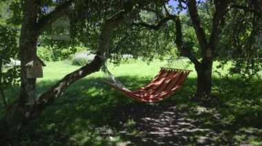 Hammocks hang in a summer blooming garden. Sunny warm day in the flowers of the apple tree and plants. Birdhouses on apple trees in bright sunlight. Latvia