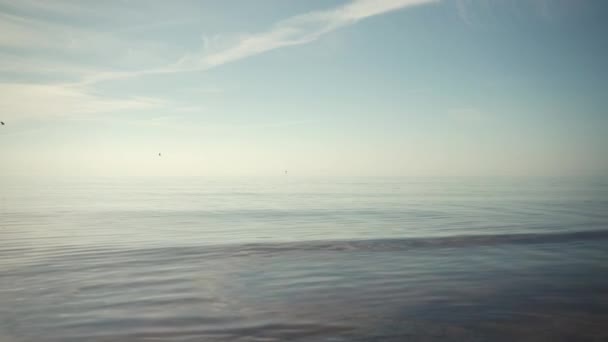 Bandeira Com Uma Bóia Redes Pesca Perto Horizonte Mar Báltico — Vídeo de Stock