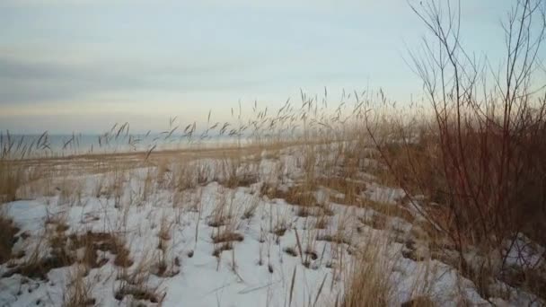 Sand Dunes Baltic Winter Day Yellow Sand White Snow Wide — Stock Video