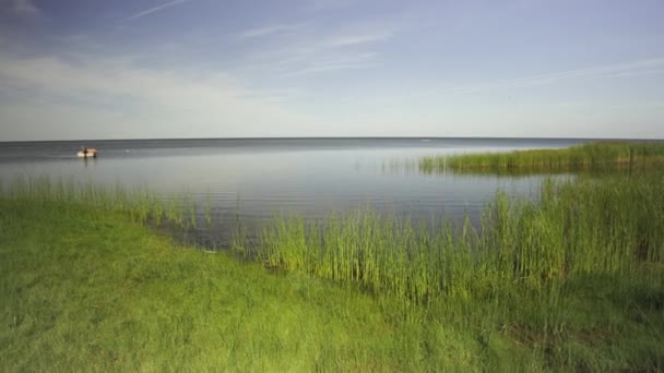 Спокойный Ландшафт Зеленого Побережья Травой Птицами Побережье Балтийского Моря Стрекозы — стоковое видео