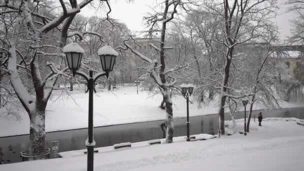 12月 在里加市公园散步 树木的轮廓映衬在雪山的背景下 穿着鲜艳衣服的人沿着运河挤来挤去 拉脱维亚 — 图库视频影像