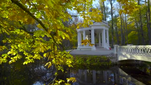 Yellow Autumn Kemeri National Park Popular Walking Place Latvia Reflection — Stockvideo