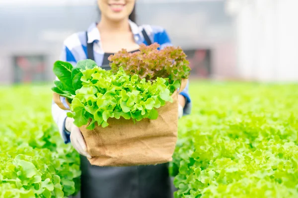 Mulher Feliz Agricultor Segurando Cesta Cheia Salada Legumes Verdes Frescos — Fotografia de Stock