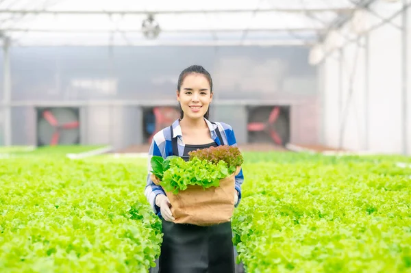 Feliz Mulher Asiática Agricultor Segurando Cesta Cheia Vegetais Verdes Frescos — Fotografia de Stock