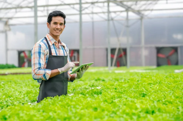 Hombre Asiático Feliz Agricultor Sosteniendo Tableta Digital Para Controlar Invernadero — Foto de Stock