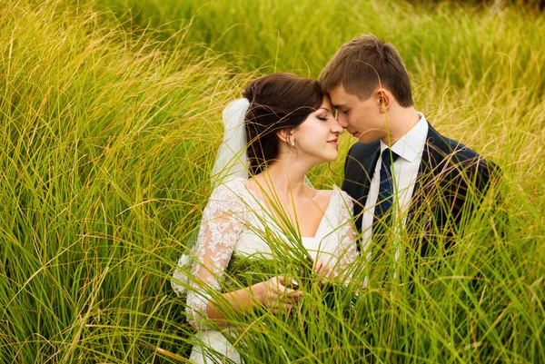 Casamento casal beijando ao ar livre — Fotografia de Stock