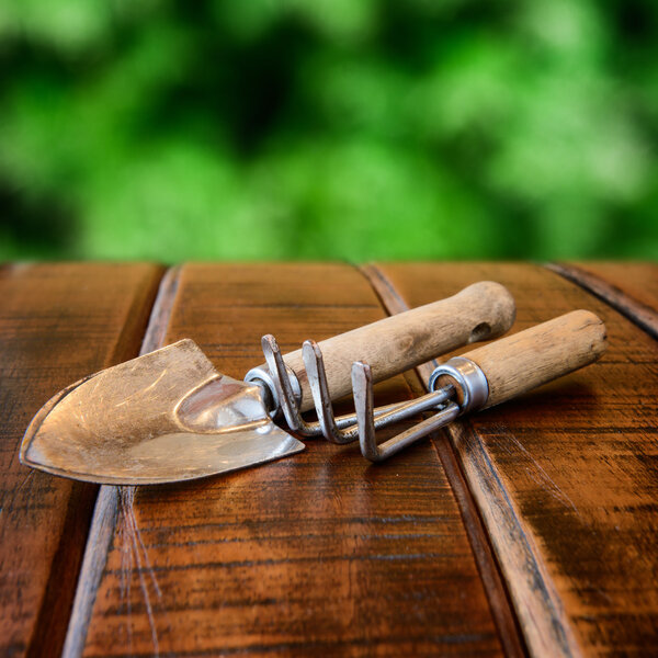 Gardening tools, rake and scoop on wooden table desk